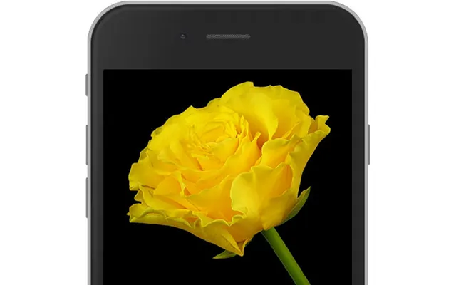Yellow E-rose