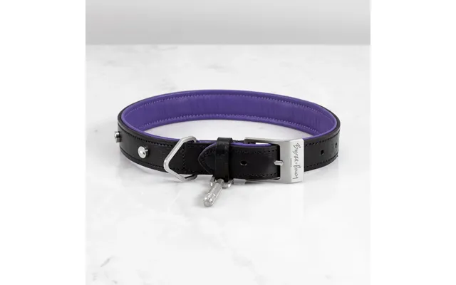 Buster Punch Rpa-02776 Hand Crafted - X Large Dog Collar Black Purple