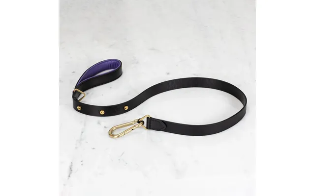 Buster Punch Rpa-02777 Hand Crafted - 15mm Dog Lead Black Purple product image