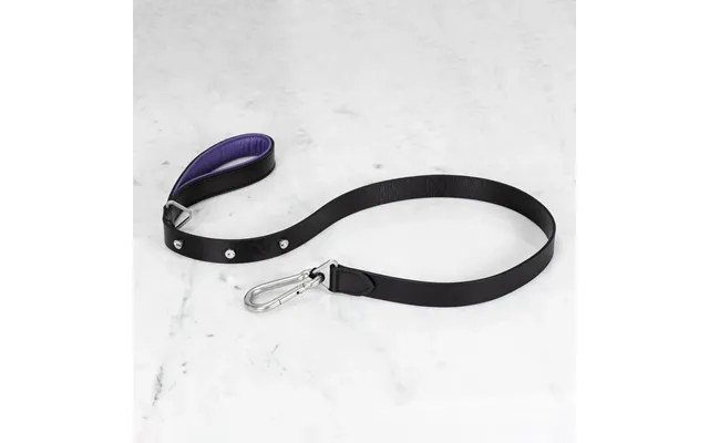 Buster Punch Rpa-02778 Hand Crafted - 15mm Dog Lead Black Purple product image