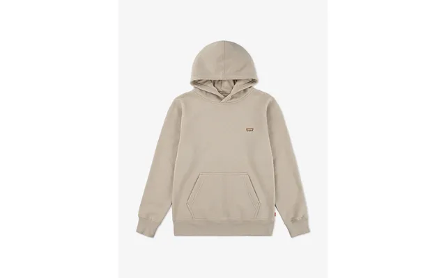 Levi's Boys Mini Batwing Hoodie In Beige product image