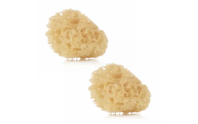 Natural Sponges 2 Pack product image