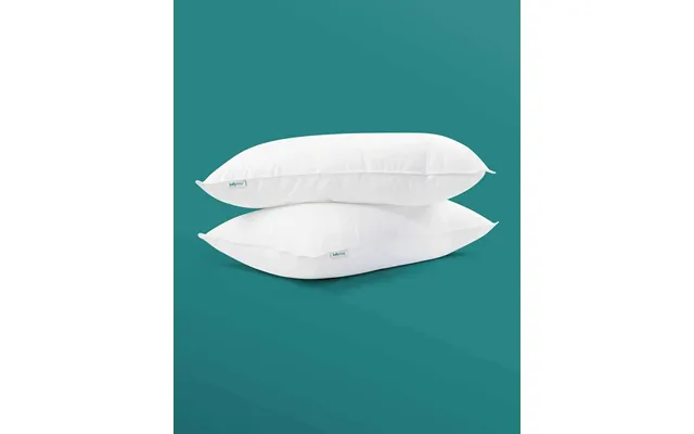 Feels Like Down Pillows Twin Pack