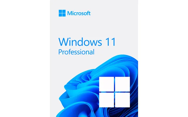 Windows 11 Professional 64 Bit Oem Windows