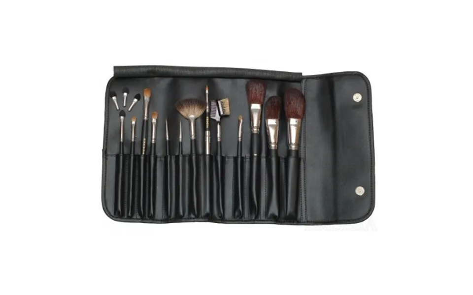 Erdesa Makeup Brush Set Of 13