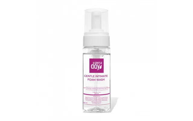Gentle Day Gentle Intimate Foam Wash 150ml product image