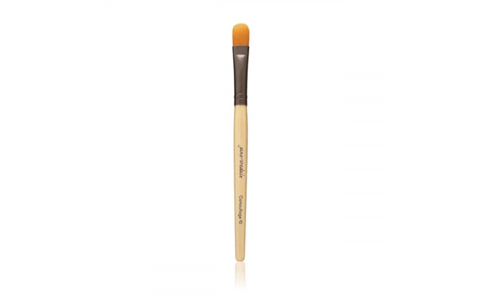 Jane Iredale Camouflage Brush 1pcs