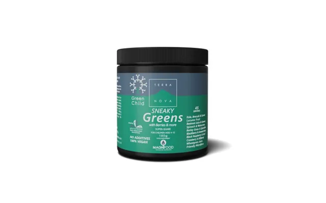Terranova Green Child Sneaky Greens Super Shake 180g product image
