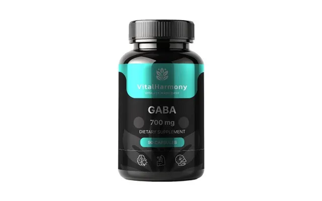 Vitalharmony Gaba 700 Mg Dietary Supplement 90 Capsules product image