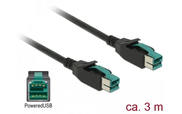 Delock 85494 Power Cable Black 3 M Poweredusb product image
