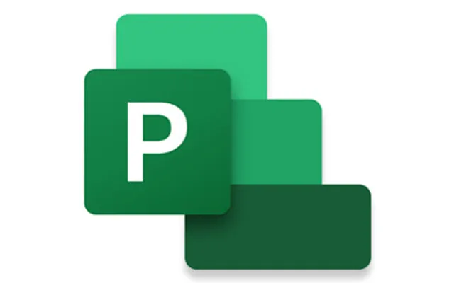 Microsoft Project Professional 2024 Project Management Full 1 License