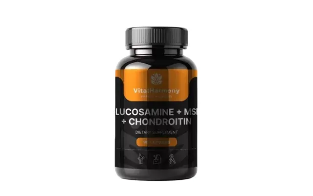 Vitalharmony Glucosamine Msm Chondroitin Dietary Supplement 90 Capsules