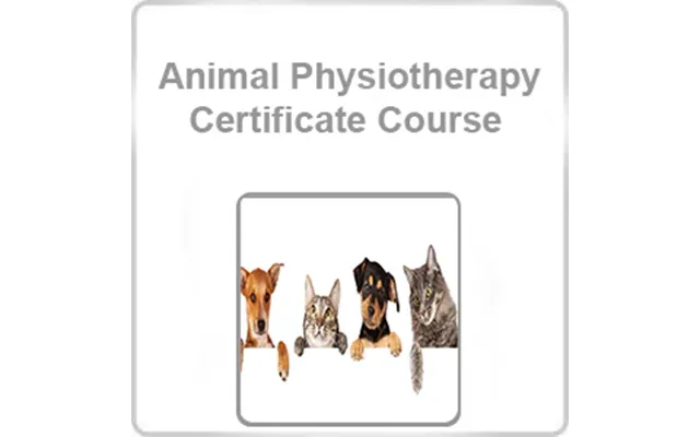 Animal Physiotherapy Certificate Course