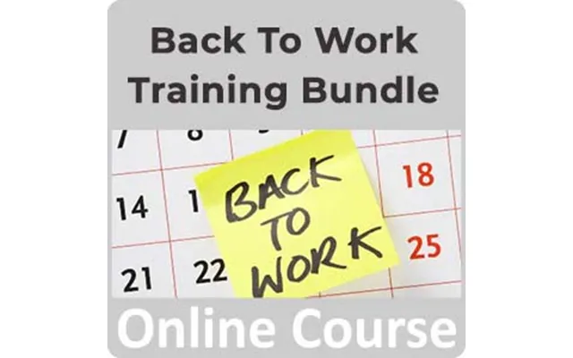 Back To Work 30 Course Training Bundle
