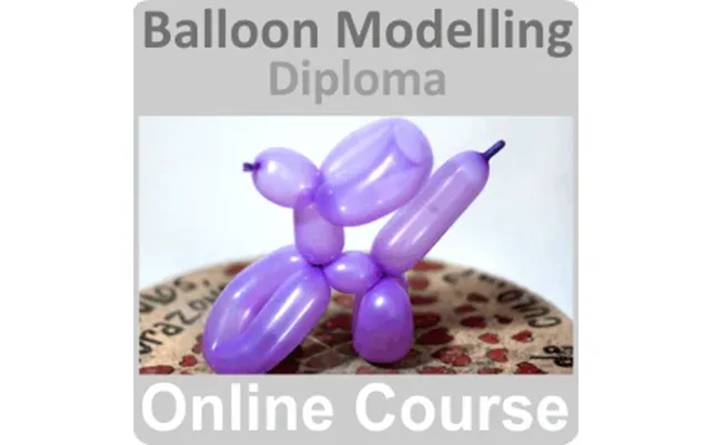Balloon Modelling Diploma Training Course