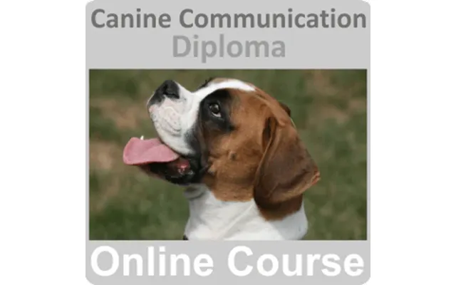 Canine Communication Diploma Training Course