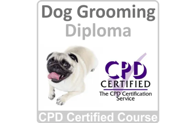 Dog Grooming Online Training Course