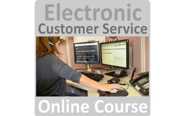 Electronic Customer Service Online Training Course