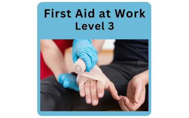 First Aid At Work Level 3 Online Course - Cpd Accredited