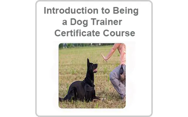 Introduction To Being A Dog Trainer Certificate Course