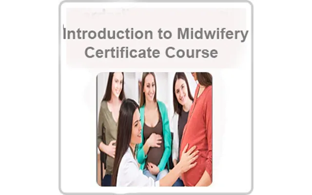 Introduction To Midwifery Certificate Course