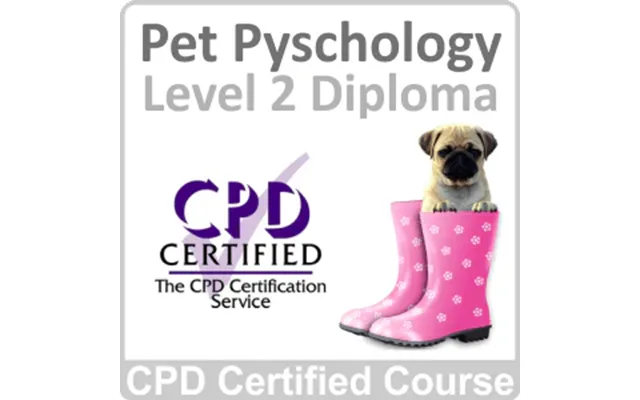 Pet Psychology Level 2 Diploma Online Training Course