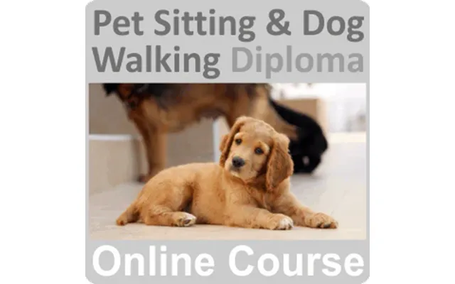Pet Sitting & Dog Walking Diploma Training Course