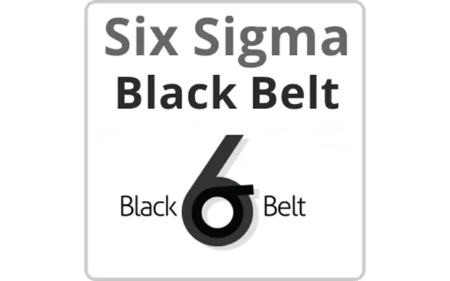 Six Sigma Black Belt Online Training Course