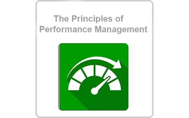 The Principles Of Performance Management Cpd Certified Online Course