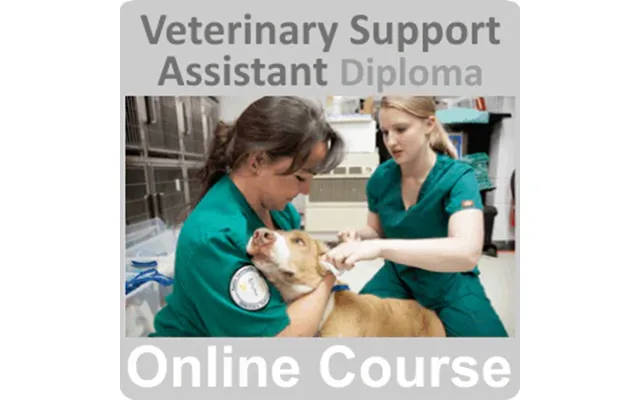 Veterinary Support Assistant Diploma Training Course