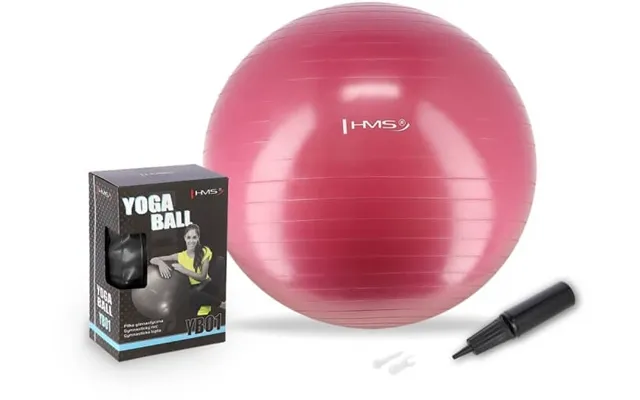 Abisal Hms Gymnastics Ball Plum 65 Cm Yb01
