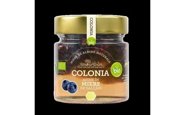 Blueberries In Organic Acacia Honey - 250g
