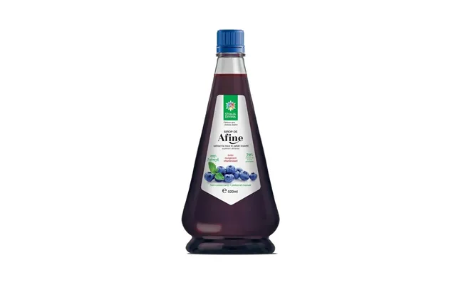 Blueberry Syrup - 520 Ml