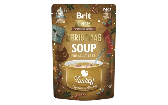 Brit Christmas Soup - Turkey
