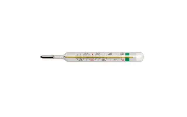 Chicco Mercury-free Thermoeco Thermometer Chicco