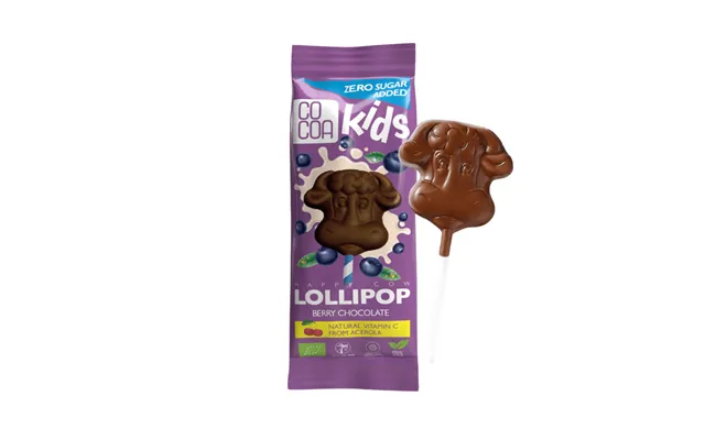 Chocolate Lollipop With Eco Fruit - 15 G
