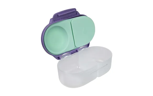 Compartmentalized Snackbox - Lilac Vervil
