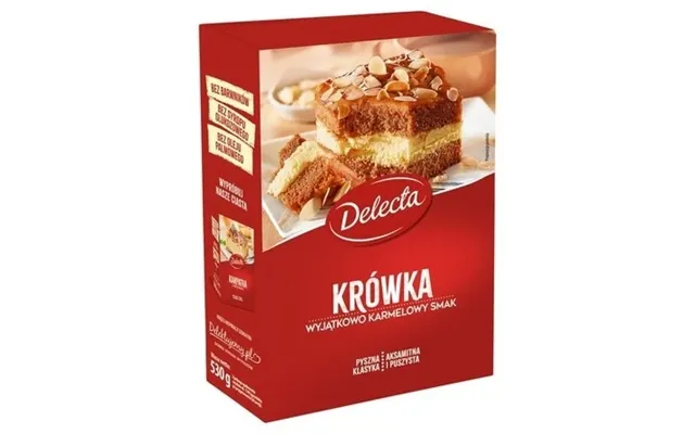 Delecta Ready Mix For Baking Cake Fudge 530 G