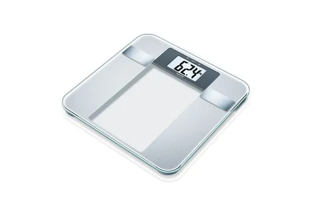 Diagnostic Scale - Bg13