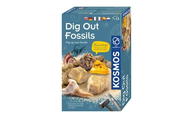Educational Set Ancient Fossil Stem - 7 Years