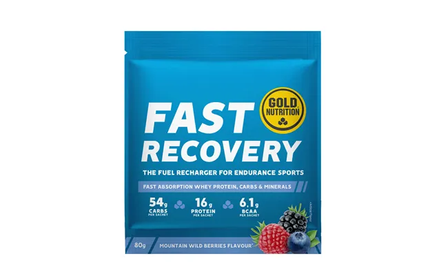 Fast Recovery Recovery Recovery Powder - Berries