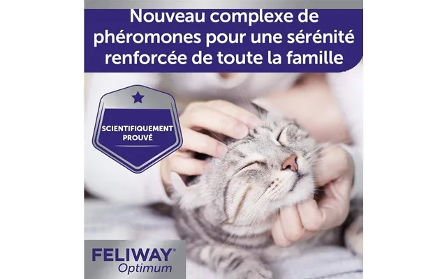 Feliway Optimum Serenity Renforcée Refill For Happy Families Chat 48ml