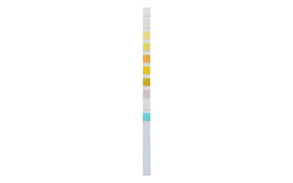 Home Laboratory Urs 10 General Urinalysis - Home Test For Urine Parameters