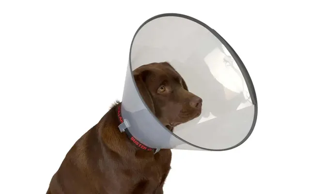 Isabelino Comfort Collar 15 - 5 Pcs