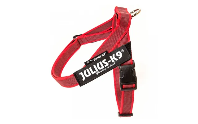 Julius-k9 Idc Color & Gray Idc - Harness Dog Leash product image