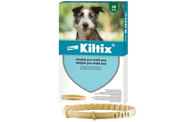 Kiltix Collar For Small Dogs Circumference 38 Cm