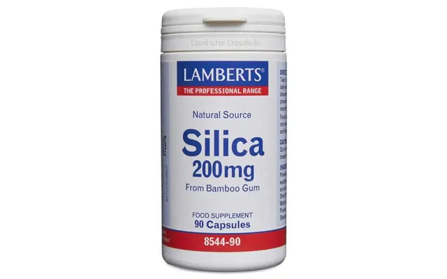 Lamberts Silicon - 90 Capsules