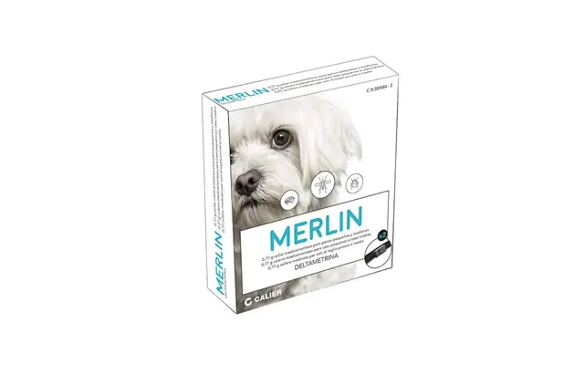 Merlin Necklace - 48 Cm 1 Piece