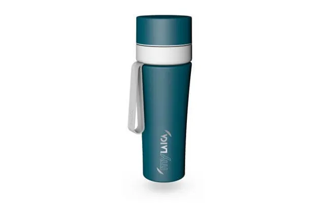 Mylaica Stainless Steel Filter Bottle - 550 Ml