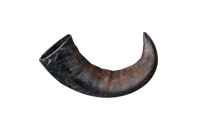 Natural Big Buffalo Corn